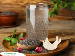 Hướng-dẫn-Chưng-tổ-yến-đường-phèn-táo-đỏ-hạt-chia