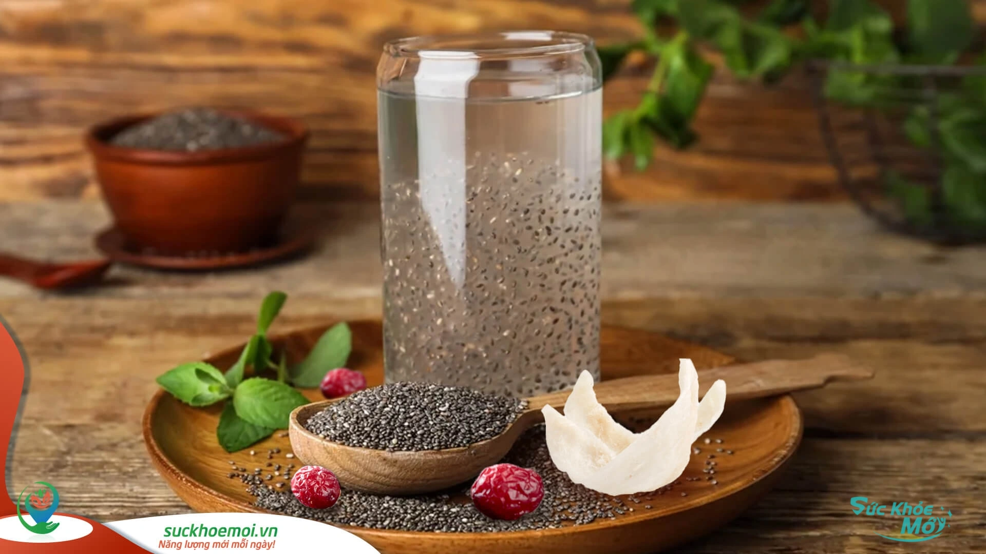 Hướng-dẫn-Chưng-tổ-yến-đường-phèn-táo-đỏ-hạt-chia Hướng-dẫn-Chưng-tổ-yến-đường-phèn-táo-đỏ-hạt-chia