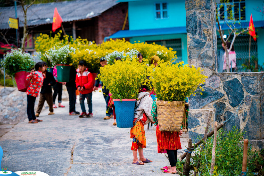 Những hoạt động nào không thể bỏ qua khi ở Mộc Châu? 4 Le hoi Hoa Moc Chau