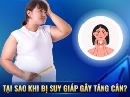 Tăng Cân Suy Giáp