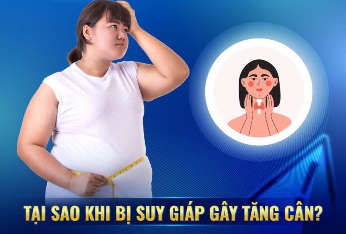 Tăng Cân Suy Giáp