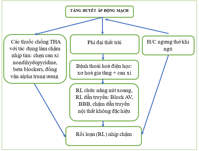 Tần Số Tim Trong Điều Trị Tăng Huyết Áp: 5 Lợi Ích Tối Ưu 1 tần số tim trong điều trị tăng huyết áp